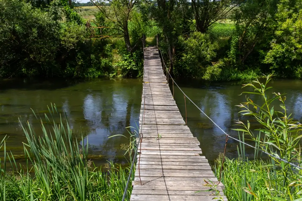 Hanging Bridges